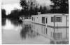 Flooding Hamilton mobile homes