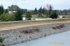 Logs to be placed on top of riprap