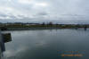 Looking across the Skagit at DD 17 new riprap