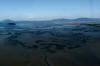 Padilla Bay Aerial Photo