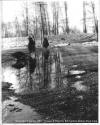 1951 Flood 09 - West Mount Vernon 1951 - Division & Front Street Bill Harlow's Barber Shop D