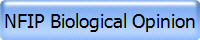 NFIP Biological Opinion